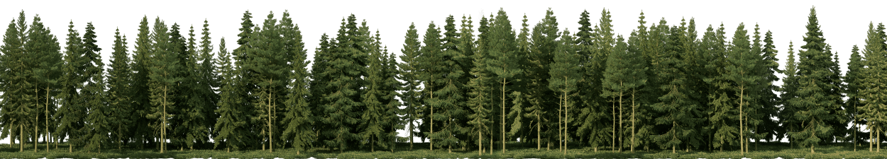 trees